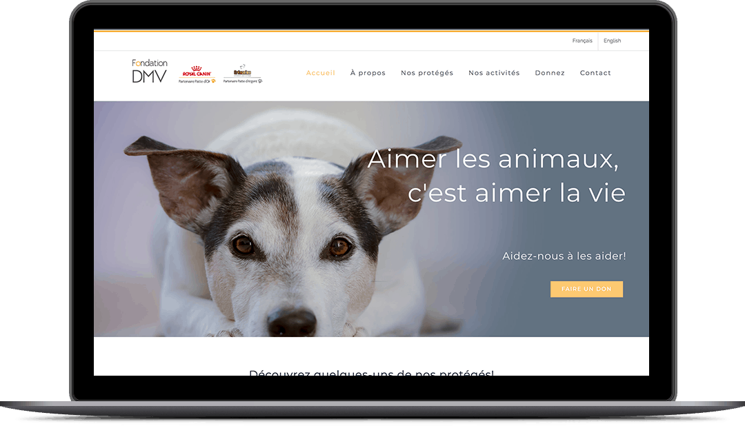 Site Web pour une clinique vétérinaire spécialisée