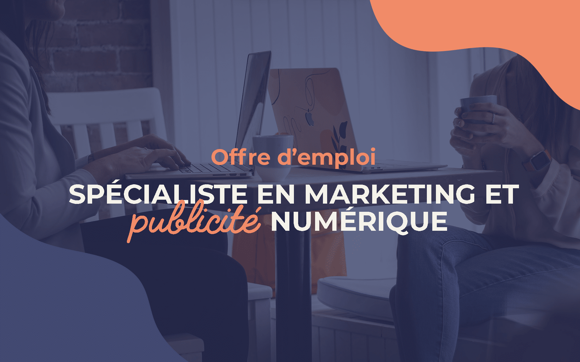 Spécialiste en marketing – publicité