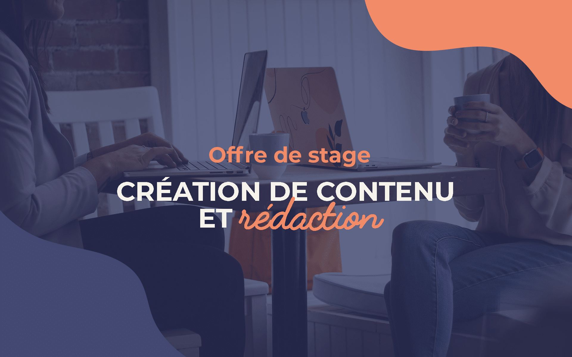 Offre de stage – création de contenu et rédaction